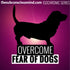 Overcome Fear of Dogs - Isochronic